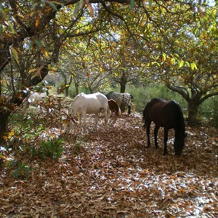 Finca Don Leandro *