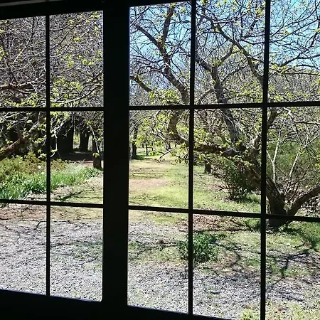 Finca Don Leandro Country house El Rosario (Tenerife)