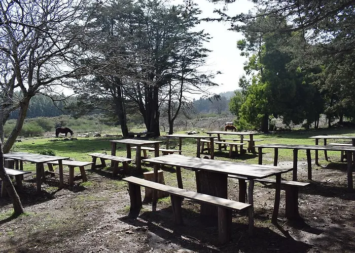 Gospodarstwo wiejskie Finca Don Leandro