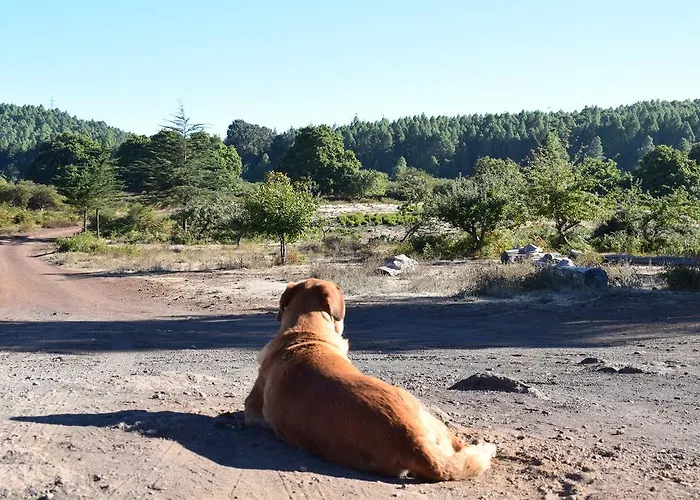 Finca Don Leandro Gospodarstwo wiejskie *