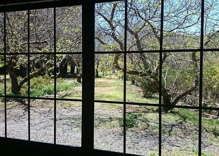 Finca Don Leandro Gospodarstwo wiejskie El Rosario (Tenerife)