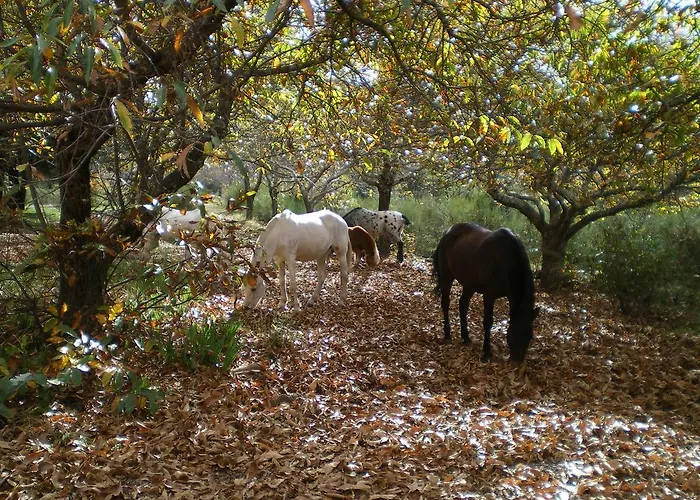 Finca Don Leandro *